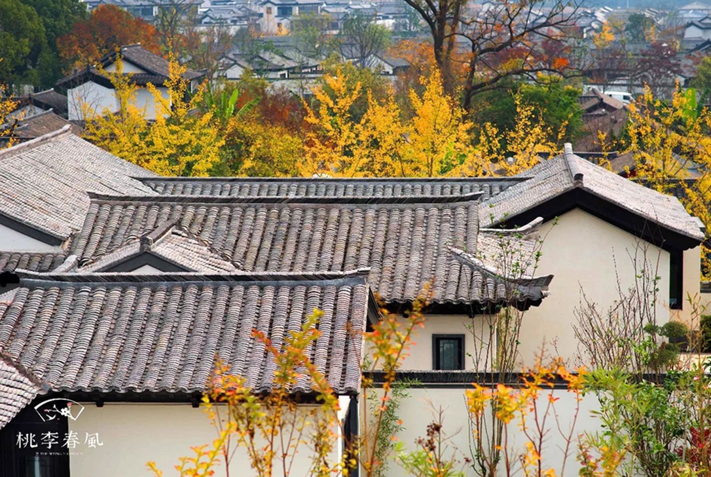 永信贵宾会217·(中国区)官网